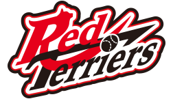Away team logo